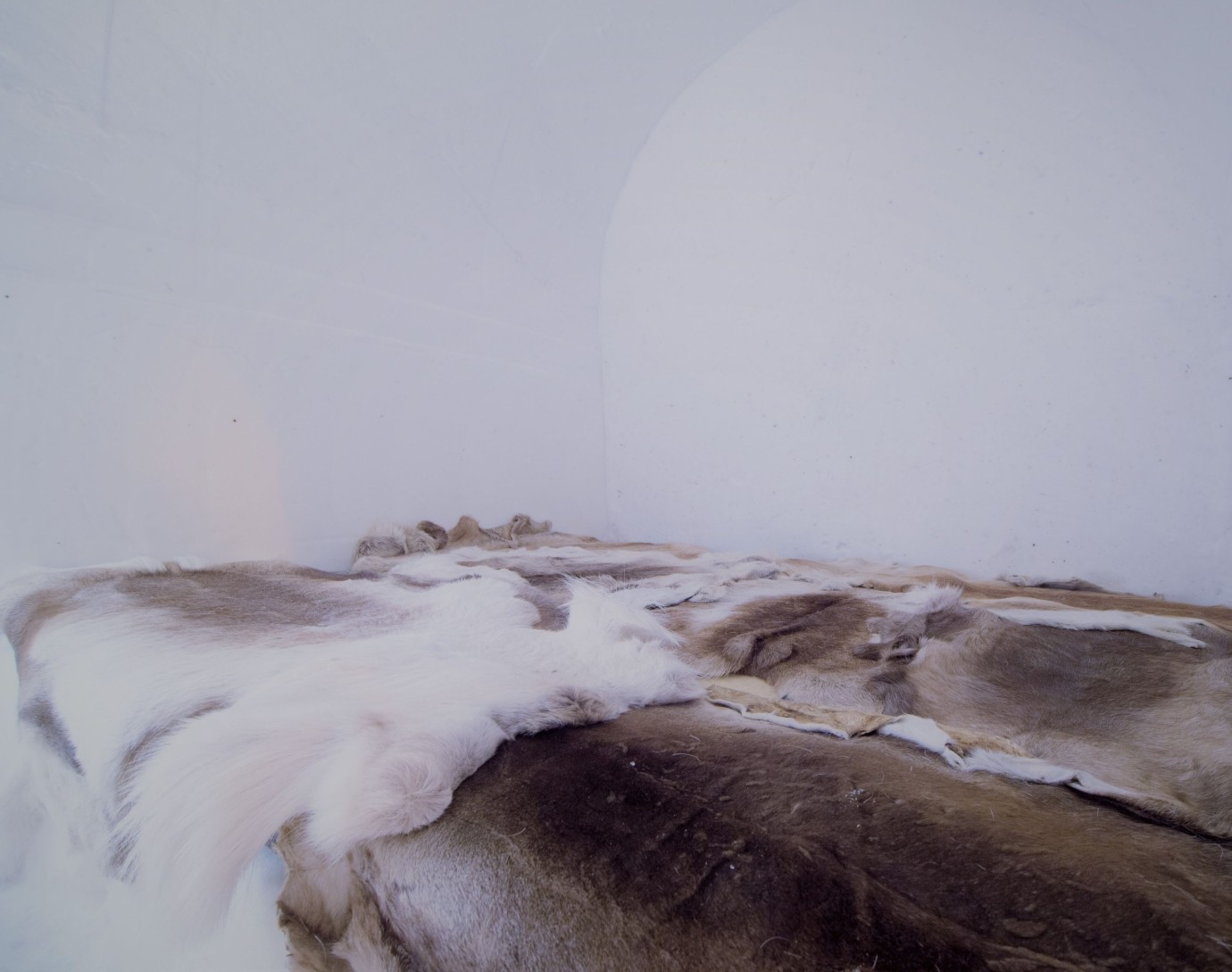 Igloo Room